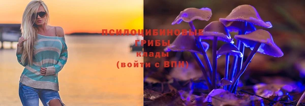 apvp Балахна