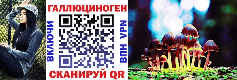 МЕГА ссылка Приморск Галлюциногенные грибы Psilocybine cubensis где продают наркотики