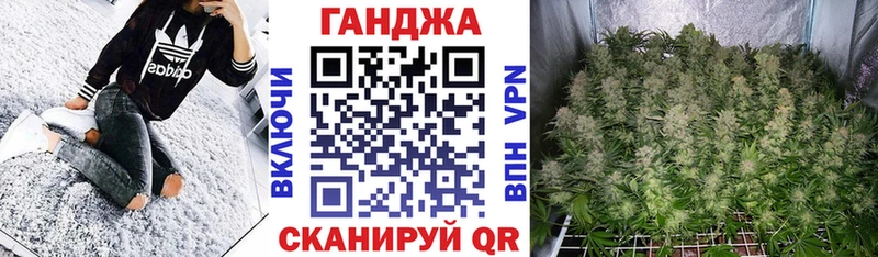 Бошки марихуана Amnesia  как найти наркотики  Приморск 